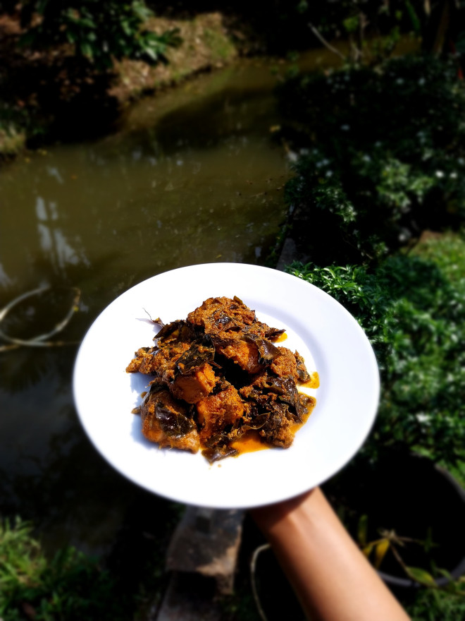 RENDANG DAUN BUNGO: KULINER KHAS DARI NAGARI PAUH SANGIK